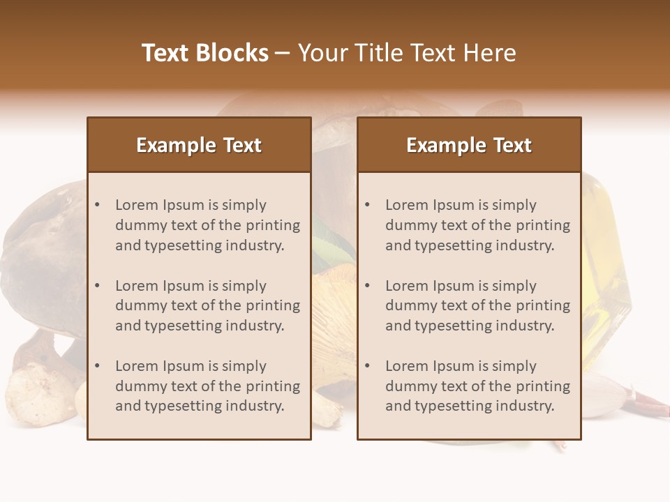 Beauty Isolated Orange PowerPoint Template