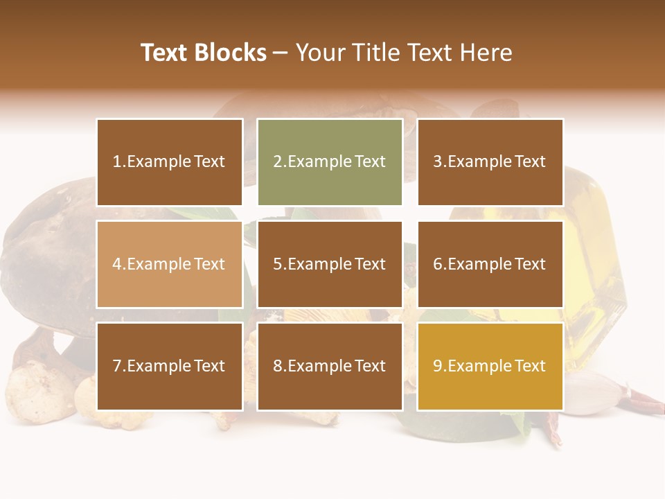 Beauty Isolated Orange PowerPoint Template