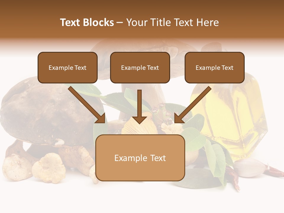 Beauty Isolated Orange PowerPoint Template