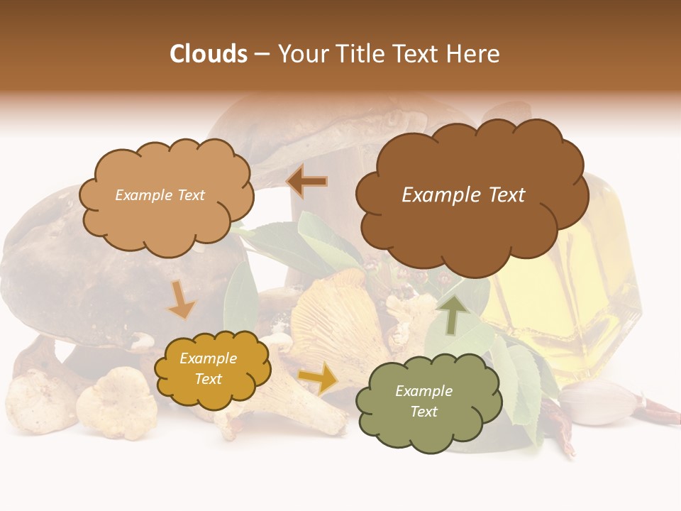 Beauty Isolated Orange PowerPoint Template