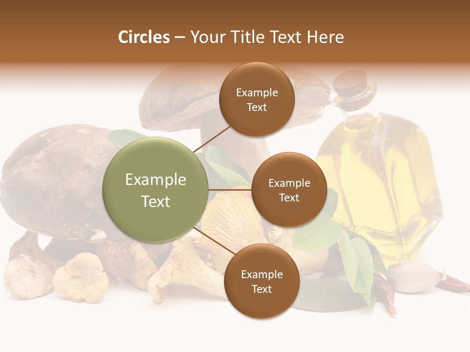 Beauty Isolated Orange PowerPoint Template