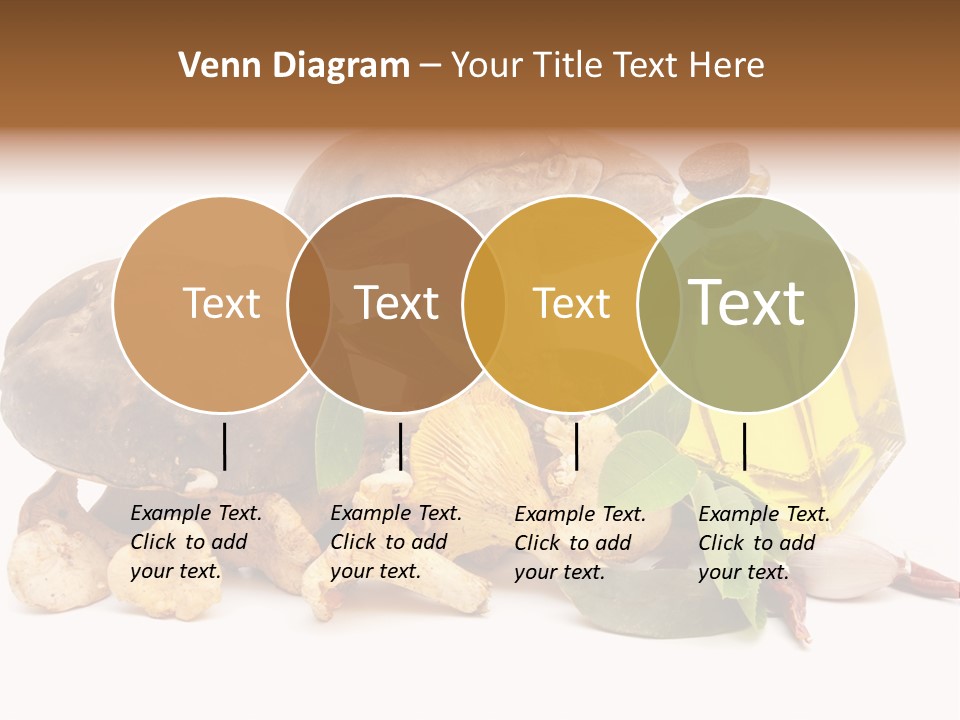 Beauty Isolated Orange PowerPoint Template