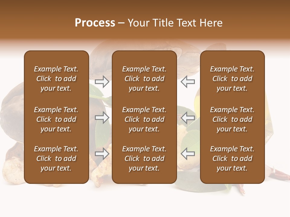 Beauty Isolated Orange PowerPoint Template