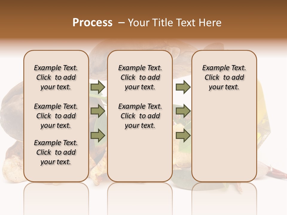 Beauty Isolated Orange PowerPoint Template
