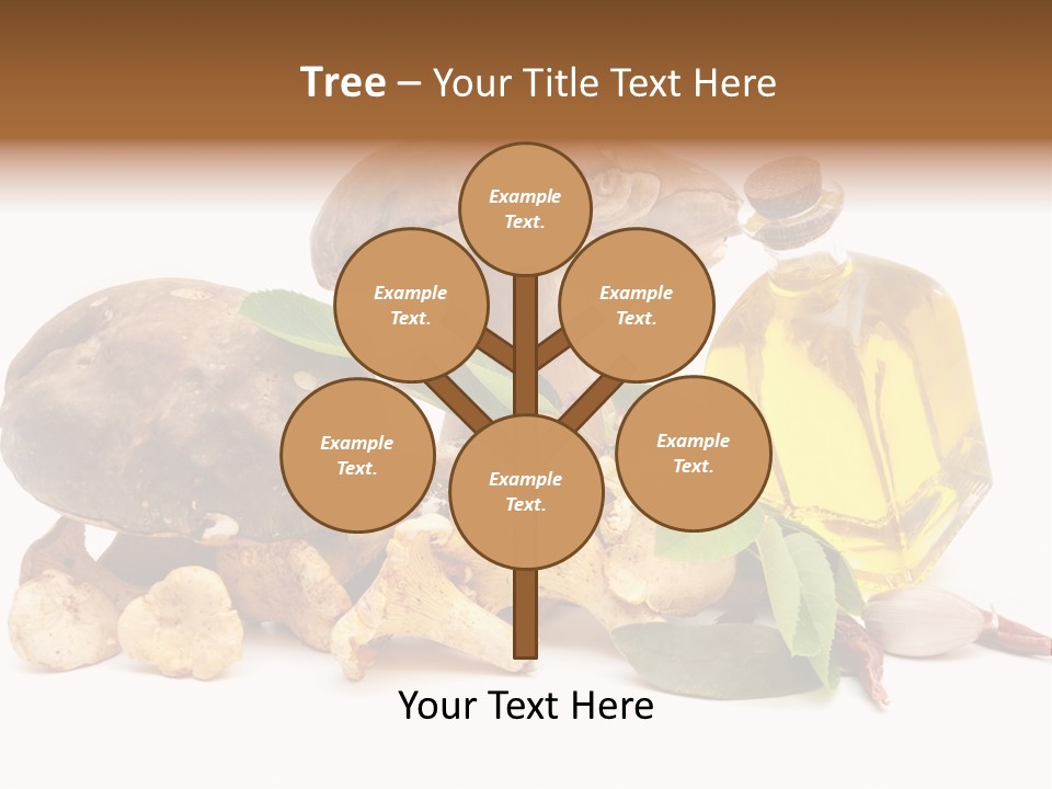 Beauty Isolated Orange PowerPoint Template