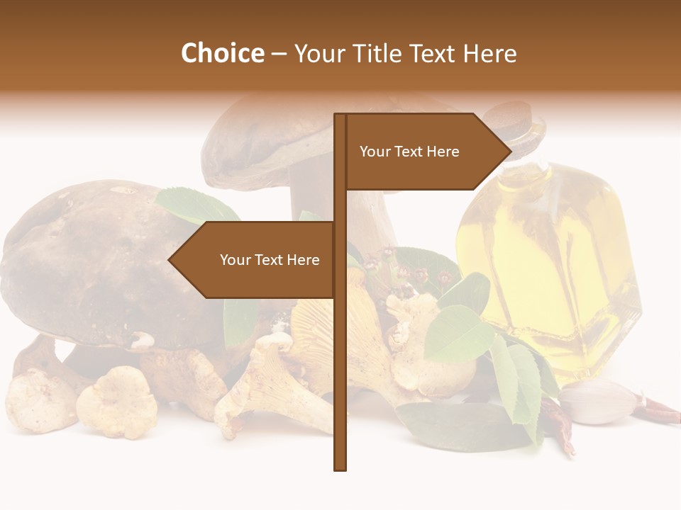 Beauty Isolated Orange PowerPoint Template