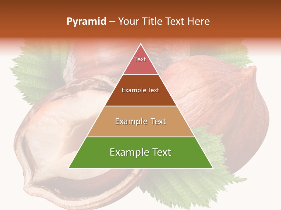 Shell Tree Strong PowerPoint Template