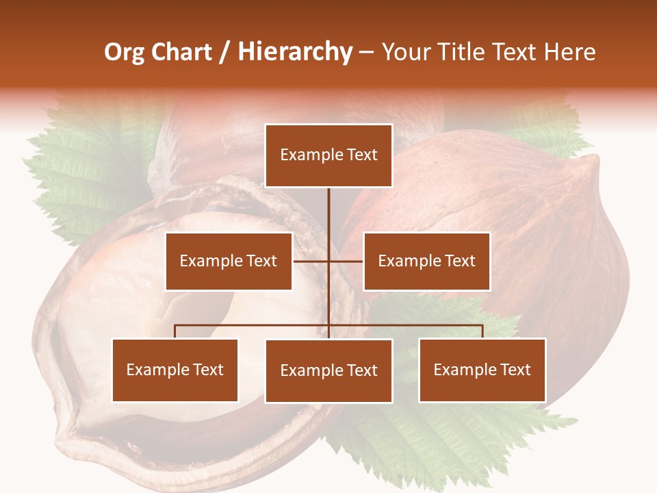 Shell Tree Strong PowerPoint Template