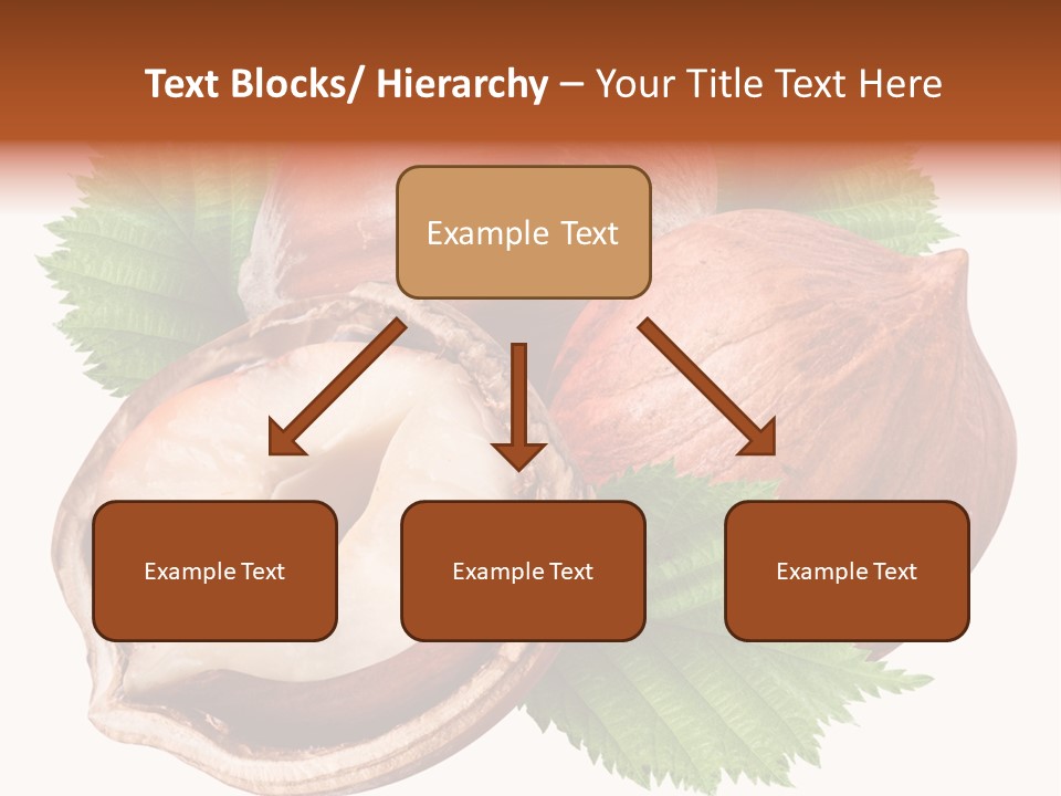 Shell Tree Strong PowerPoint Template