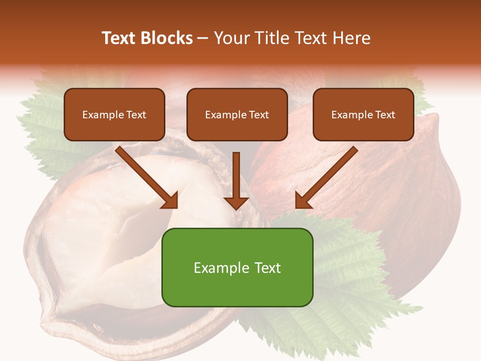 Shell Tree Strong PowerPoint Template