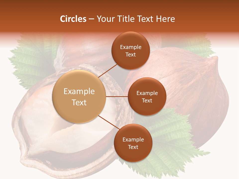 Shell Tree Strong PowerPoint Template