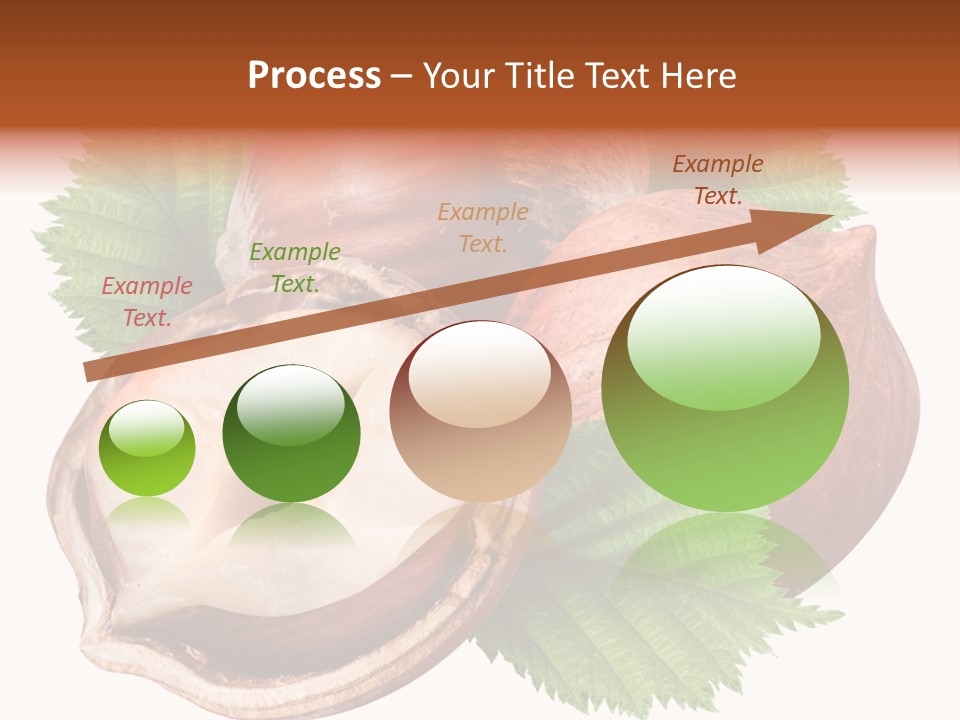 Shell Tree Strong PowerPoint Template