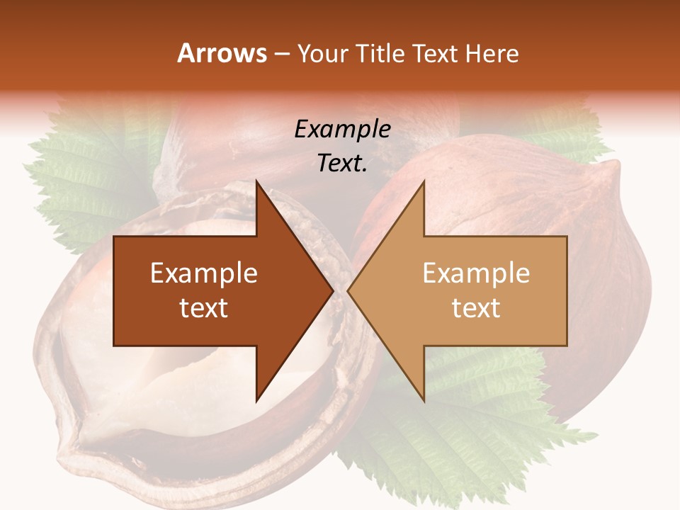 Shell Tree Strong PowerPoint Template