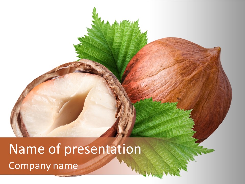 Ingredient Squirrel Strong PowerPoint Template