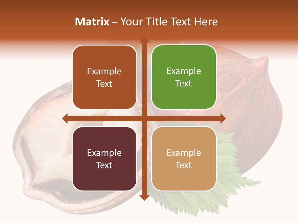 Ingredient Squirrel Strong PowerPoint Template