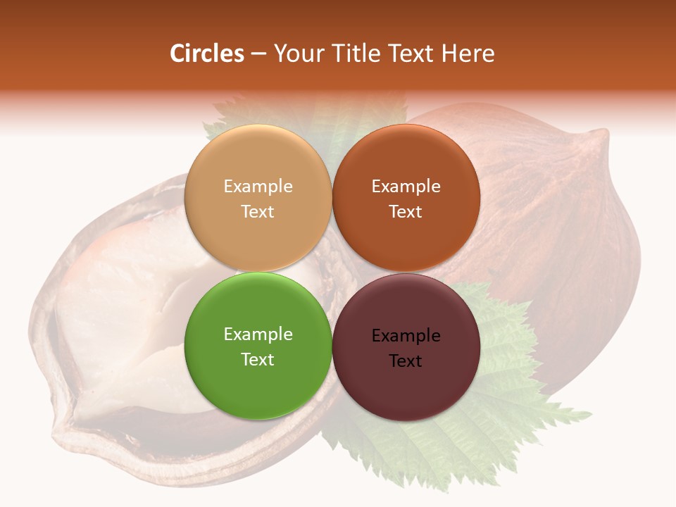 Ingredient Squirrel Strong PowerPoint Template