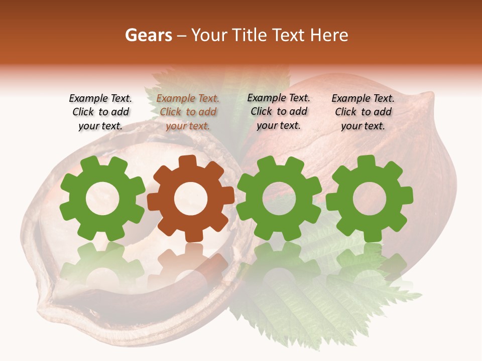 Ingredient Squirrel Strong PowerPoint Template