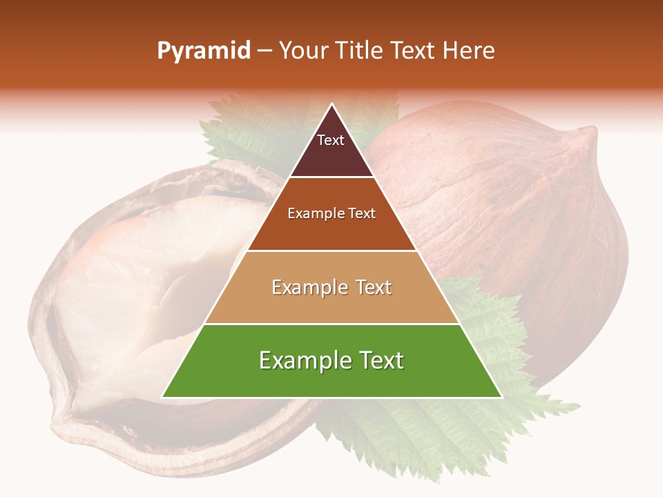 Ingredient Squirrel Strong PowerPoint Template