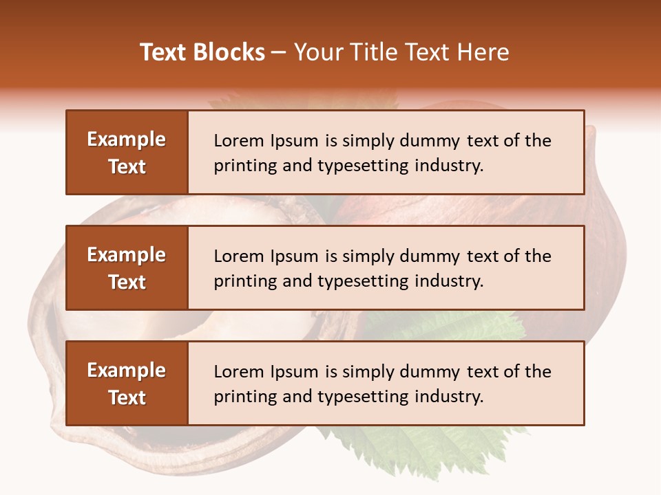 Ingredient Squirrel Strong PowerPoint Template