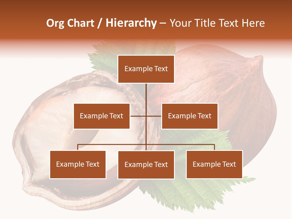 Ingredient Squirrel Strong PowerPoint Template