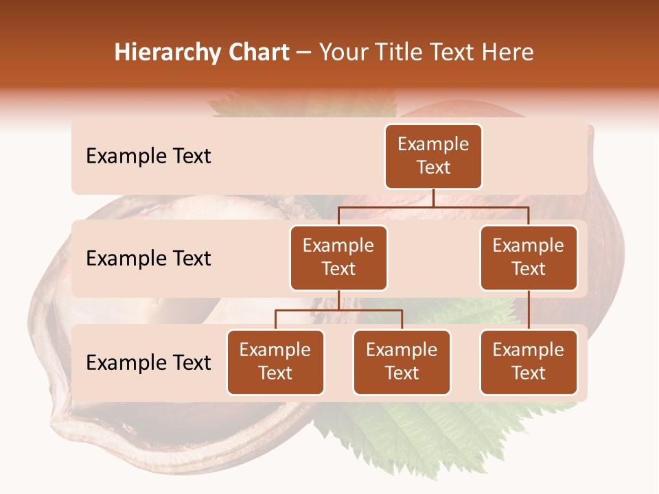 Ingredient Squirrel Strong PowerPoint Template