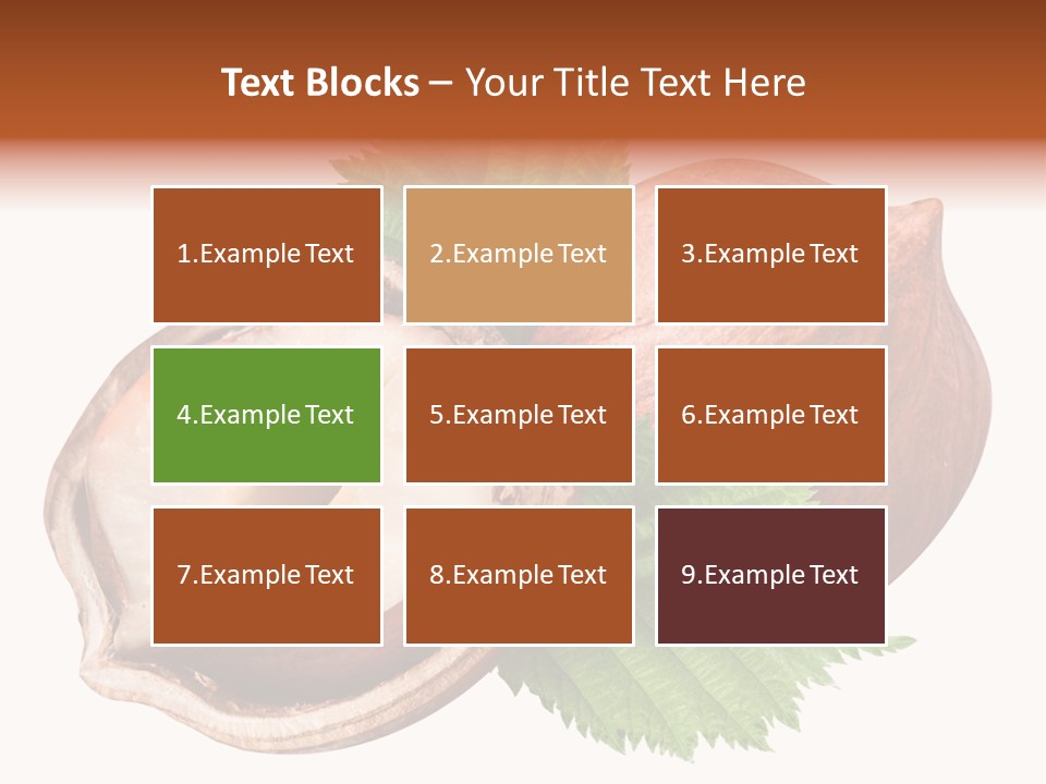 Ingredient Squirrel Strong PowerPoint Template