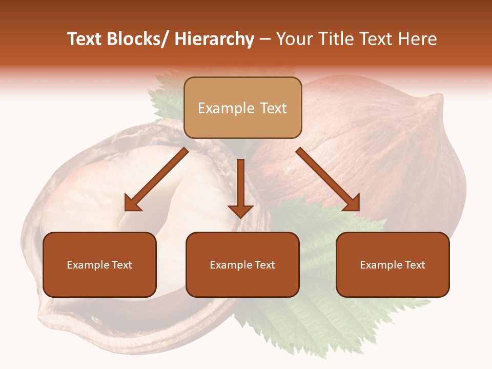 Ingredient Squirrel Strong PowerPoint Template