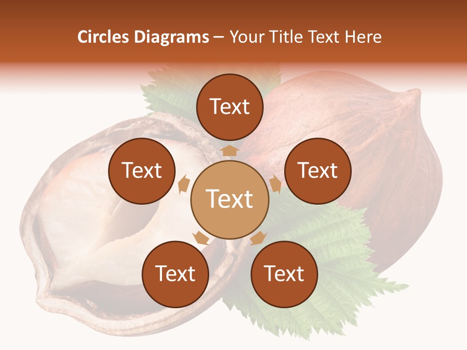 Ingredient Squirrel Strong PowerPoint Template