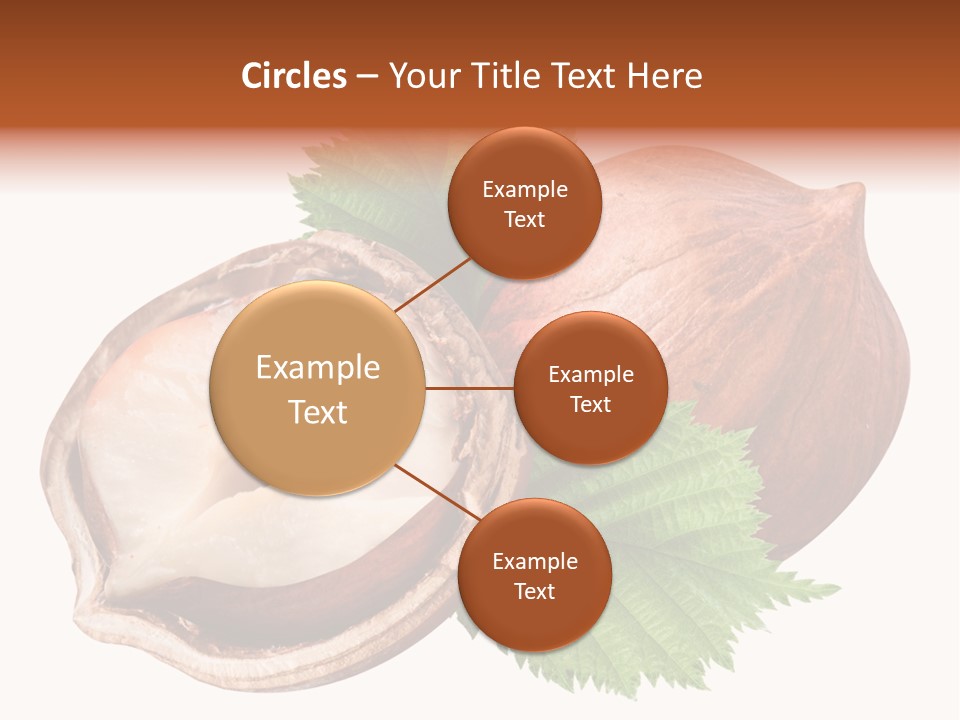 Ingredient Squirrel Strong PowerPoint Template