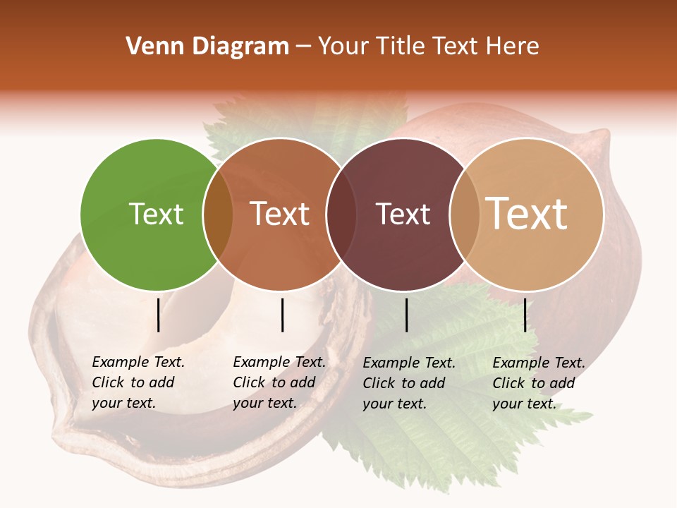 Ingredient Squirrel Strong PowerPoint Template