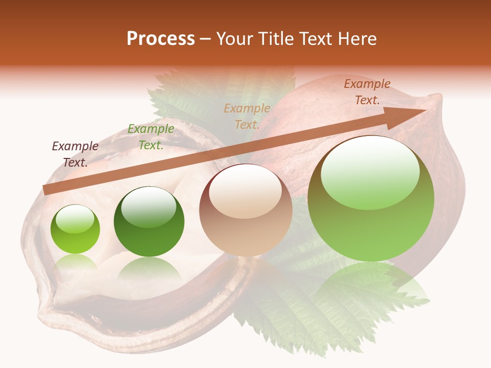 Ingredient Squirrel Strong PowerPoint Template