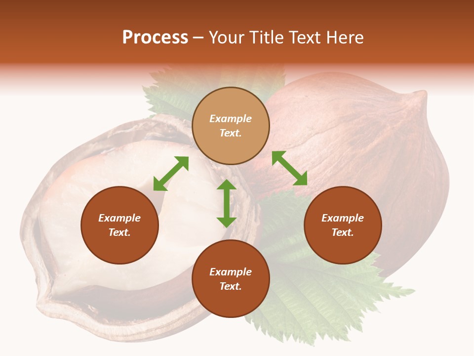 Ingredient Squirrel Strong PowerPoint Template