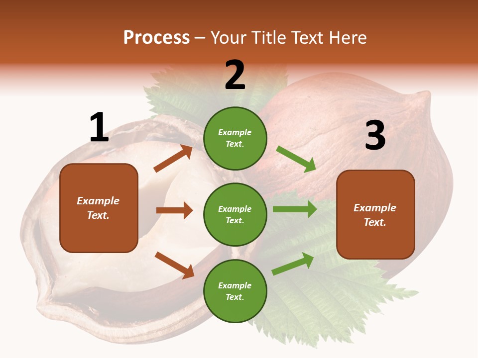 Ingredient Squirrel Strong PowerPoint Template