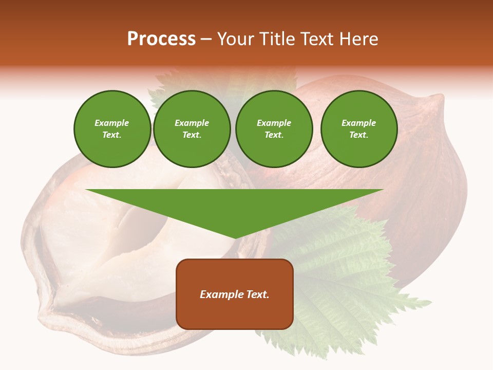 Ingredient Squirrel Strong PowerPoint Template