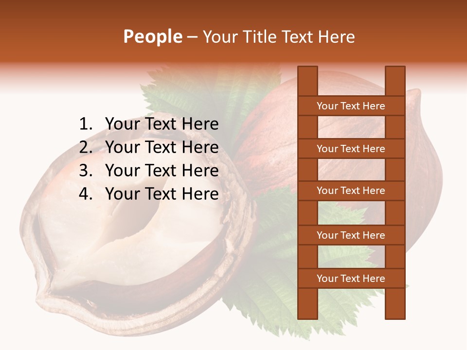 Ingredient Squirrel Strong PowerPoint Template