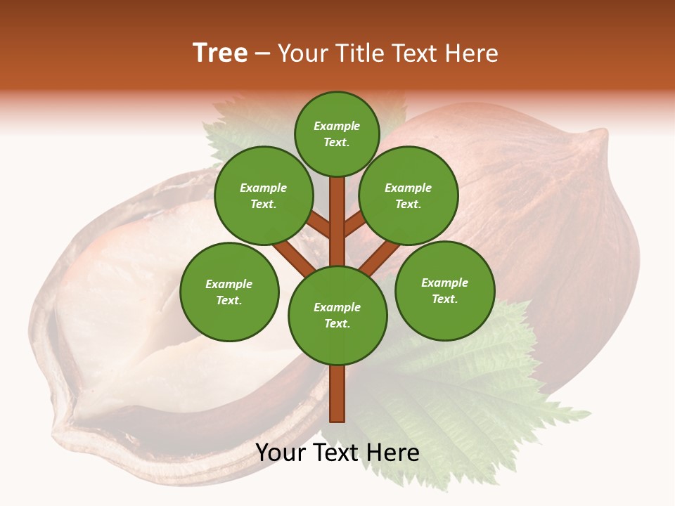 Ingredient Squirrel Strong PowerPoint Template