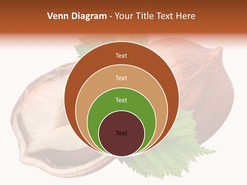 Ingredient Squirrel Strong PowerPoint Template