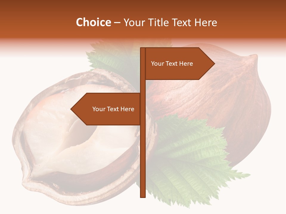 Ingredient Squirrel Strong PowerPoint Template