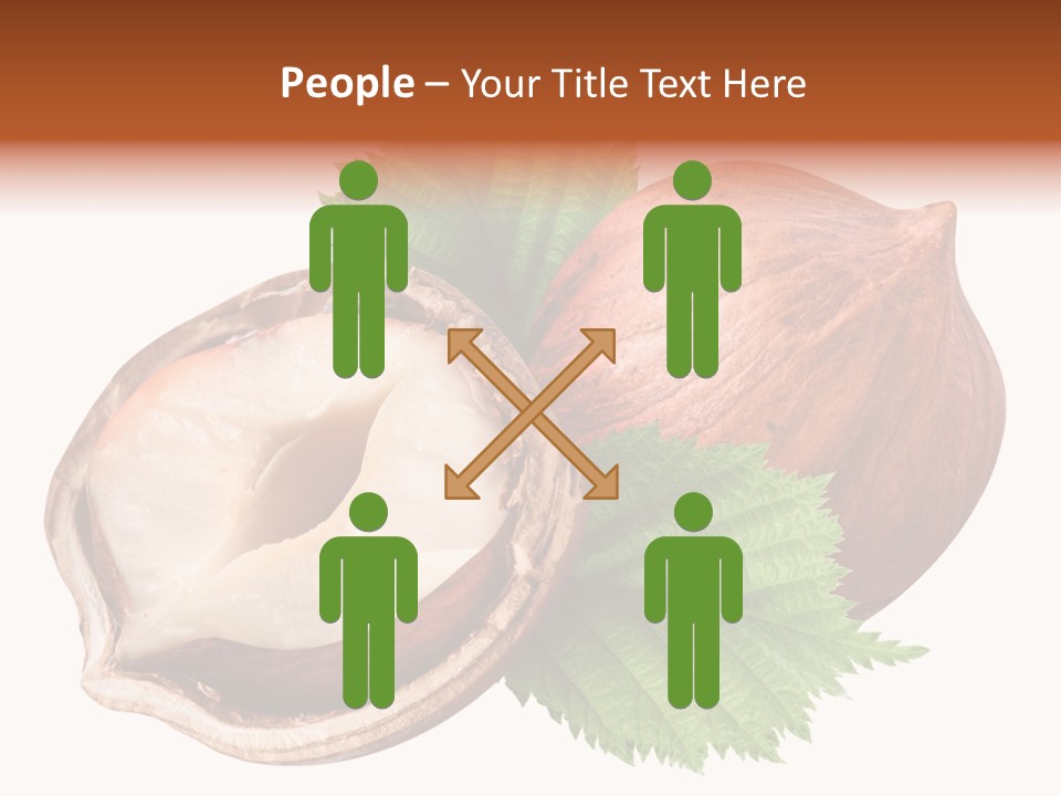 Ingredient Squirrel Strong PowerPoint Template