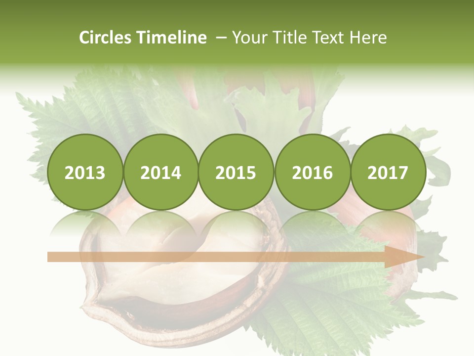 Section Whole Brown PowerPoint Template