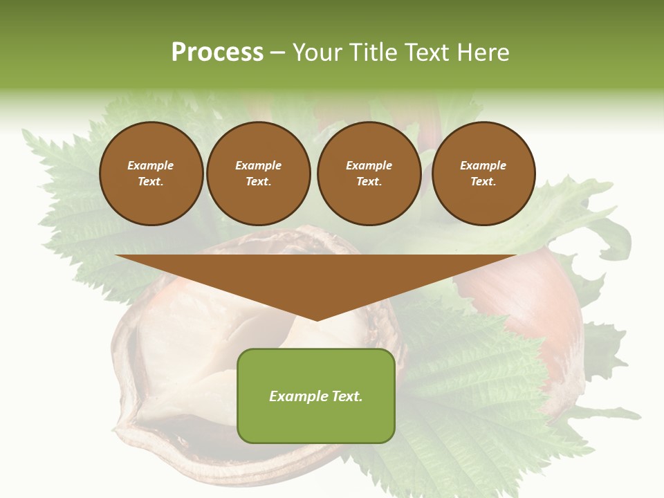 Section Whole Brown PowerPoint Template