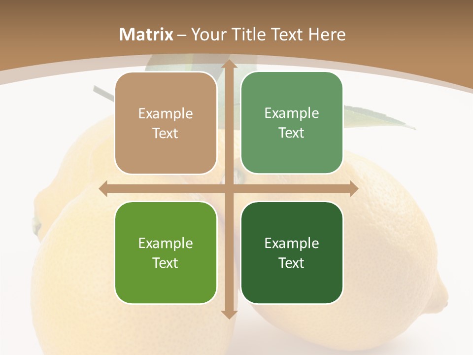 Photograph Close Lime PowerPoint Template