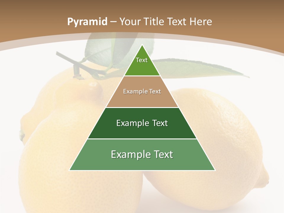 Photograph Close Lime PowerPoint Template