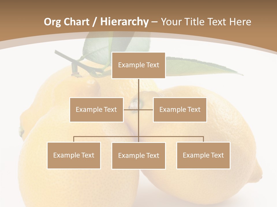 Photograph Close Lime PowerPoint Template