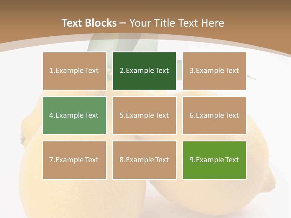 Photograph Close Lime PowerPoint Template