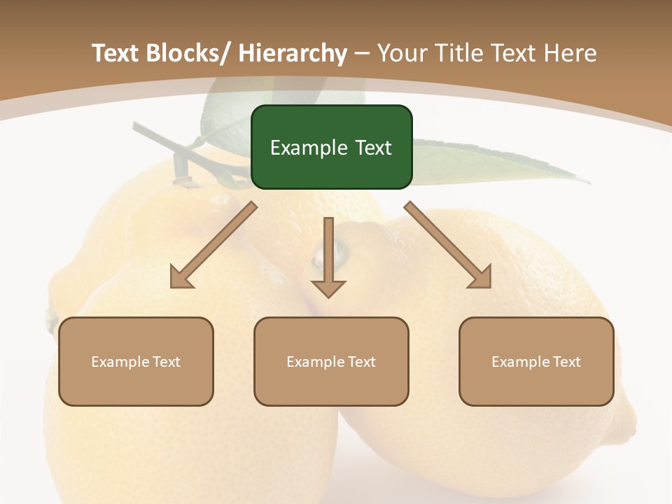Photograph Close Lime PowerPoint Template