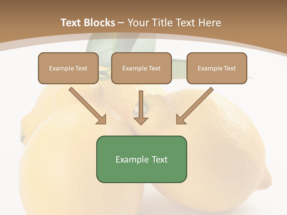 Photograph Close Lime PowerPoint Template