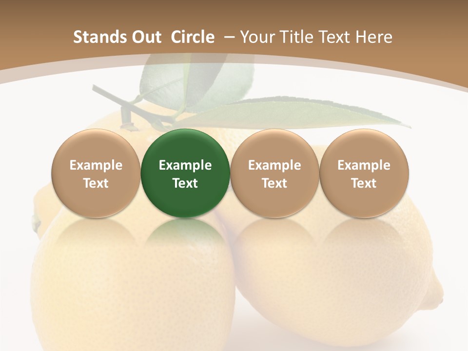 Photograph Close Lime PowerPoint Template