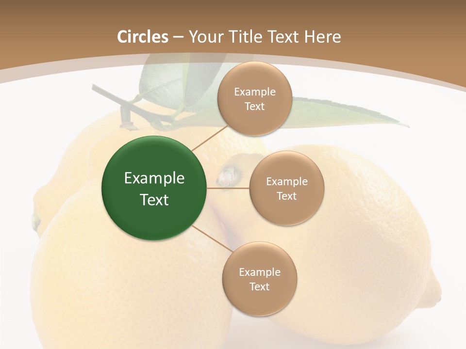 Photograph Close Lime PowerPoint Template