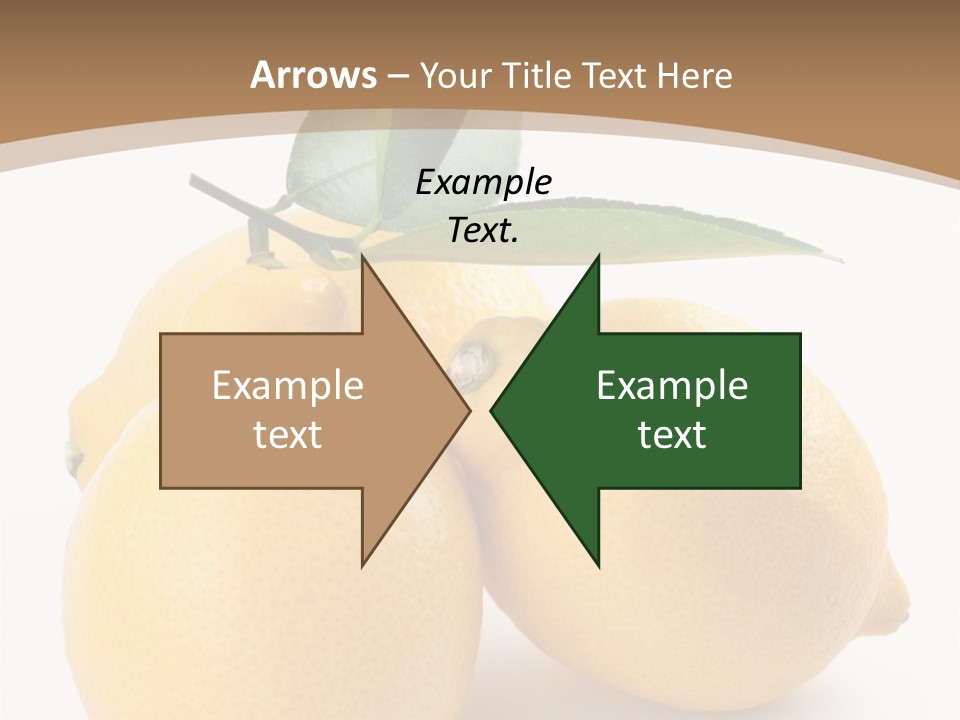 Photograph Close Lime PowerPoint Template